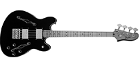 Fender0243302506