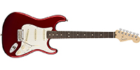 Fender0113010709