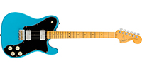 Fender0113962719