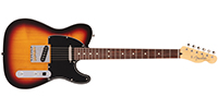 Fender5660100300
