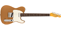 Fender0251900353