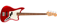 Fender0149303509	
