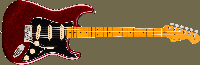 Fender0111112730