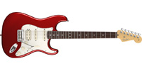 Fender0113100794