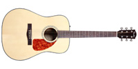 Fender0961512021