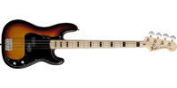 Fender0132010300