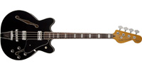 Fender0243200506